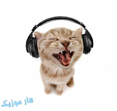 ریمیکس آهنگ های معین طولانی پشت سرهم ۱۴۰۳